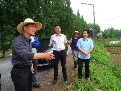 立志选育好种子、种出好糯稻，孝南民营企业家孙俊返乡兴种业