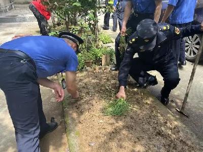 在小小的小区里挖呀挖呀挖，种下格桑花的种子，等它开花……