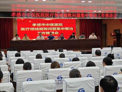孝感市中医院召开医药领域腐败问题集中整治工作推进会