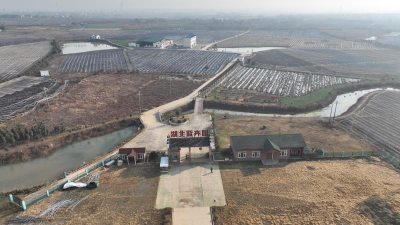 同心聚力 共同缔造 丨花果飘香蓝卉园 共同缔造幸福村