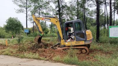 清理路边杂草 保障出行安全