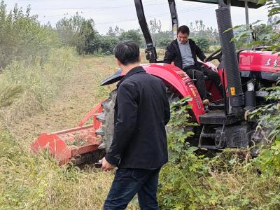 整治撂荒地 “拓”宽丰收田