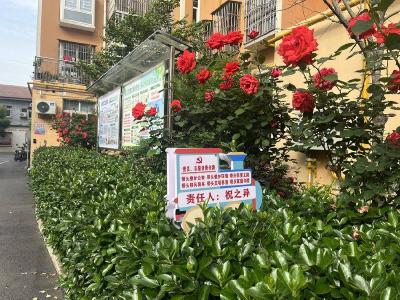 “独奏曲”变“大合唱” 共同缔造奏响“和谐”乐章——胜利社区和谐园小区共同缔造活动纪实
