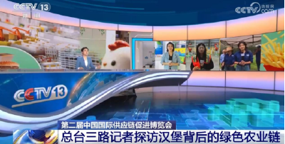 央视聚焦孝南区：麦当劳产业园闪耀链博会，绿色农业链展翼腾飞