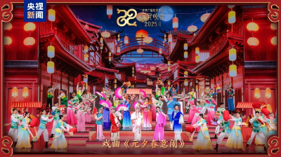 家国喜乐共团圆！中央广播电视总台《2025年元宵晚会》好评如潮