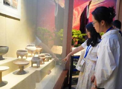 共绘乡村振兴与县域发展新图景