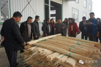 撸起袖子加油干  2017年汀泗桥镇扬帆再起航