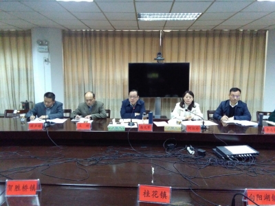 全区召开基层公共文化服务标准化建设推进会