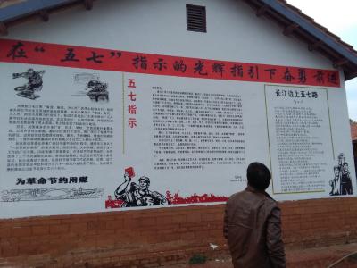 区长盛文军调研向阳湖文化名人核心区