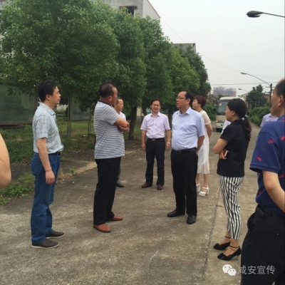 盛文军调研教育项目进展情况