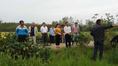 “一种两收”提效能  转换方式促增收 咸安再生稻生产观摩现场会成功召开