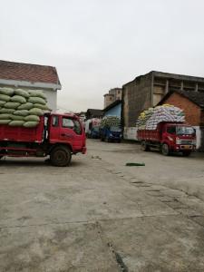       咸安“五个到位”确保秋粮颗粒归仓