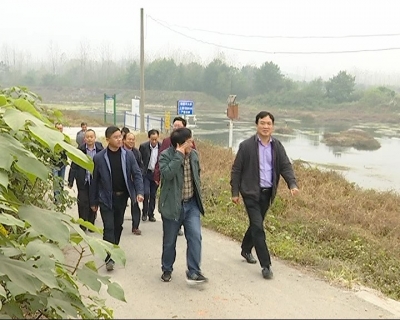 区领导调研高桥河“河长制”落实情况