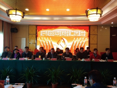 区科协第二次代表大会胜利召开 区委书记李文波出席开幕式并作重要讲话 