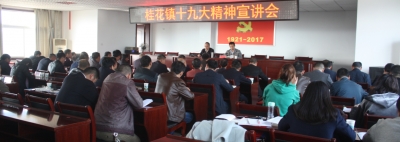 盛文军到桂花镇宣讲十九大精神