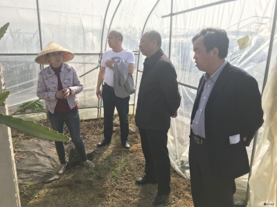 市科技局领导到咸安调研指导农业科技创新