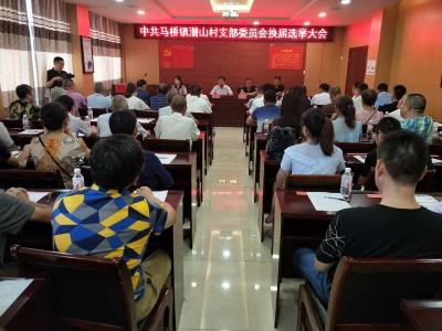 咸安圆满完成全省农村（社区）党组织换届选举试点工作