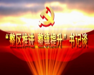 汀泗桥镇党委书记张绪华谈党建