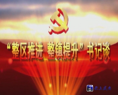 高桥镇党委书记王顺荣谈党建