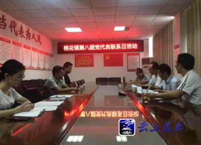 桂花镇开展第八期党代表联系日活动