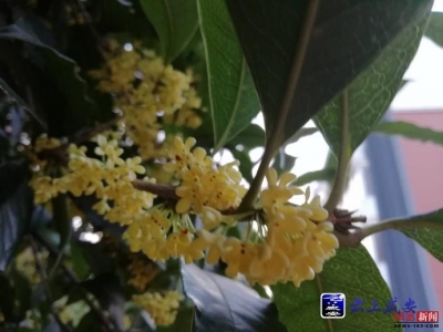 咸安那群爹爹婆婆的故事总有一个会打动你