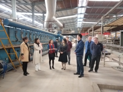 天津南开大学专家实地帮扶咸安企业解难题谋合作