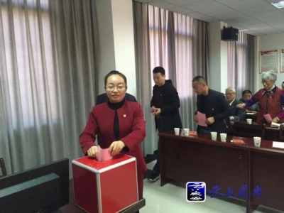 咸安区高质量完成村（社区）党组织换届选举