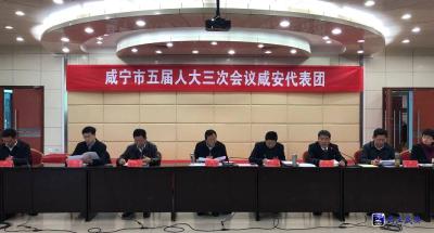  王远鹤参加咸安代表团审议：聚焦定位  彰显作为  打造名副其实的首善之区