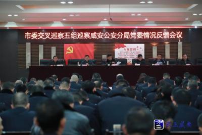 市委交叉巡察五组向咸安公安分局党委反馈巡察情况 