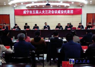 丁小强参加咸安代表团审议：狠抓项目建设  咬定发展不放松