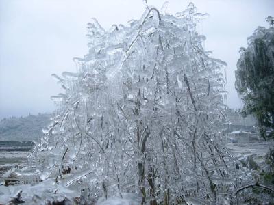 咸安区终止低温雨雪灾害Ⅳ级应急响应