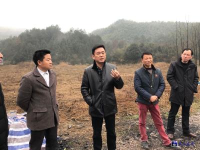魏朝东：围绕“谋、势、局” 勇挑重担 砥砺前行