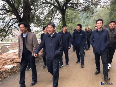 区领导调研军旅小镇、白水畈田园综合体及常横线沿线综合整治工作