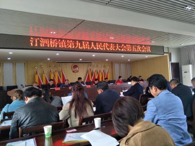 汀泗桥镇召开第九届人大代表第五次会议