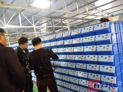 新鲜事！龙虾螃蟹在咸宁住上“复式楼”，肉质干净鲜美卖得俏