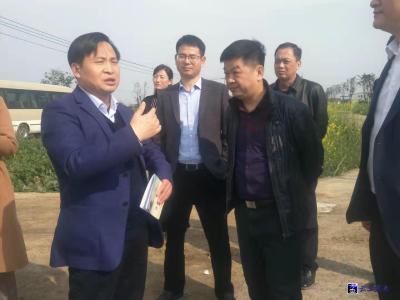 上海客商来咸安考察生态农业投资环境