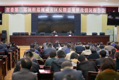 咸安区委向省委第二巡视组汇报巡视反馈意见整改落实情况