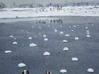 国家级湿地公园——向阳湖湿地