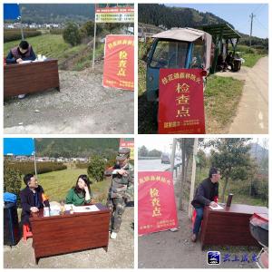 桂花镇：筑牢森林防火“安全网”