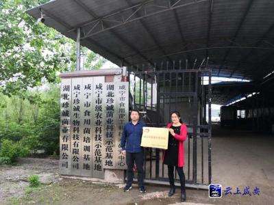 湖北珍诚菌业有限公司荣获“咸安区就业扶贫车间”称号