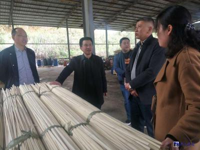 刘合权率队督导调研扶贫领域形式主义官僚主义