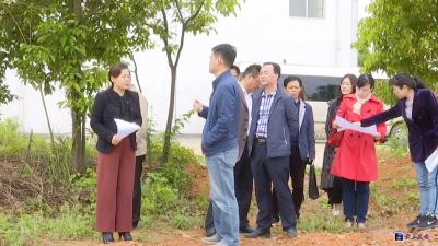 区领导督查全区创建省级公共文化服务示范区工作