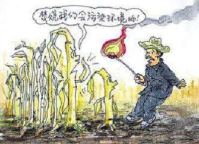 加大“禁烧”力度  严肃追责问责