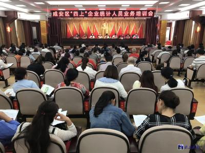 咸安为“四上”企业统计人员培训 
