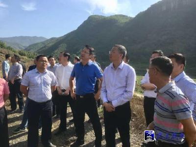 何开文：高质量高效果推进五个三重大生态工程建设