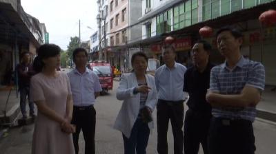 区领导调研文物保护和食品安全工作