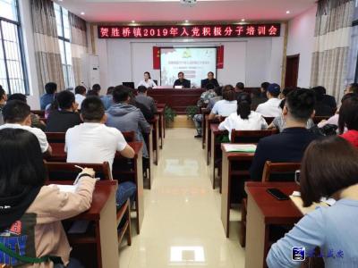 青春是用来奋斗的！贺胜桥镇入党积极分子开展志愿洁城活动