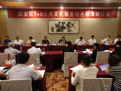 咸安区1+8公共文化服务特色标准研讨会召开