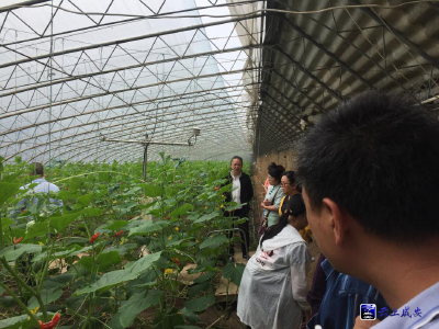 树立蔬菜发展信念 增强新农职业素养