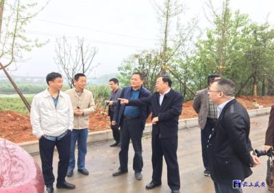 咸嘉生态文化城镇带整治工作扎实推进